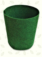 Fabric Grow bags for indoor plants (set of 3)- Eco friendly gifts